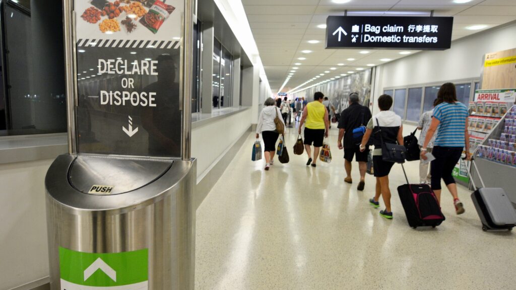 Travelers walk through an airport corridor with luggage; a &ldquo;Declare or Dispose&rdquo; bin and signs for bag claim and domestic transfers are visible, reminding passengers to be mindful of which foods are allowed through airport security.