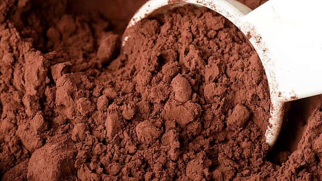 A white plastic scoop rests in a pile of cocoa powder, showing the coarse texture and dark brown color of the powder.