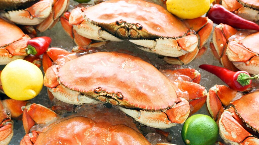 Cooked crabs on ice are surrounded by lemons, limes, and red chili peppers.