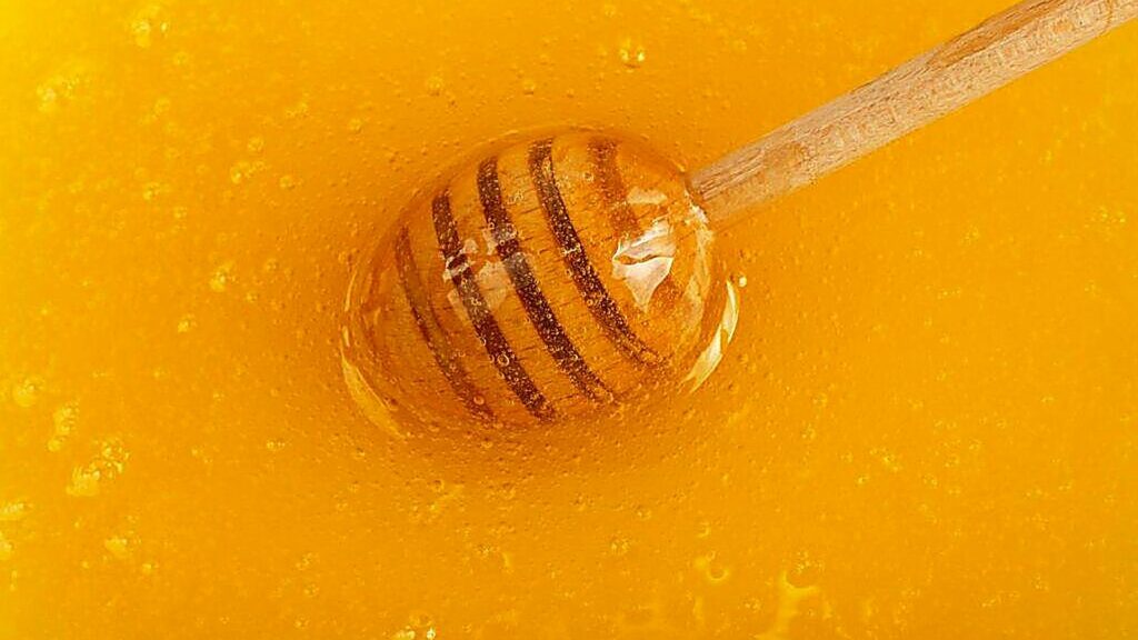 A wooden honey dipper rests in a pool of golden honey.