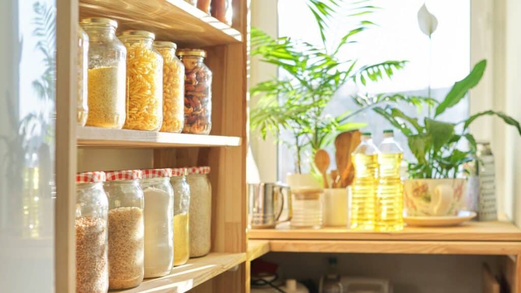 Jars of dry food items on wooden shelves beside a kitchen counter with cooking oil, mugs, utensils, and green potted plants in sunlight.