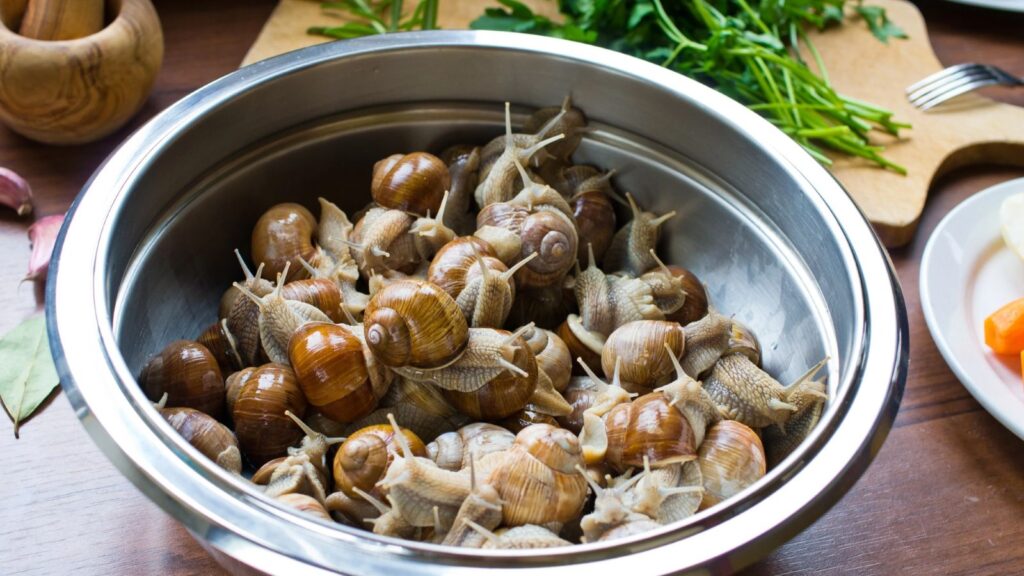 A stainless steel bowl filled with live snails&mdash;one of the foods US customs may confiscate&mdash;sits on a wooden table, surrounded by herbs and sliced vegetables.