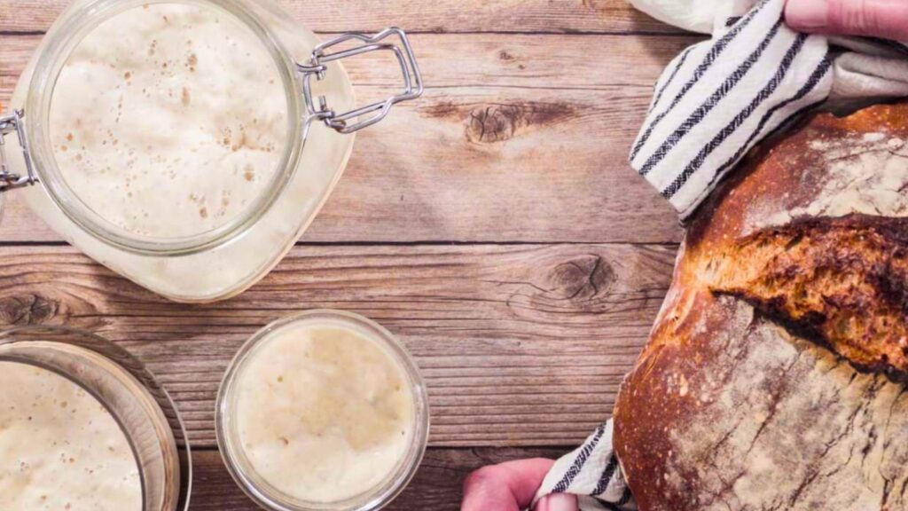 A person holds a rustic round loaf of bread next to jars filled with active sourdough starter on a wooden table.