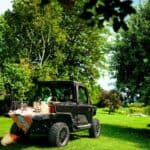 A black utility vehicle is parked on grass with a colorful picnic spread on its tailgate, surrounded by green trees in a sunny outdoor setting.