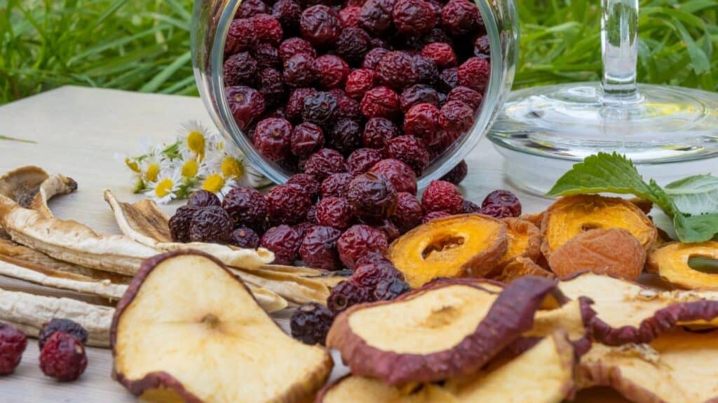 A glass jar of dried berries spills onto a table with assorted dried fruit slices, mushrooms, and small flowers beside green leaves&mdash;a beautiful display featuring some of the best foods to dehydrate.