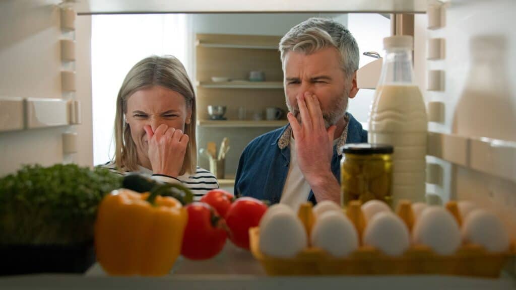 Two people look into an open refrigerator, holding their noses and grimacing at an unpleasant smell, wondering what things use-by date mean. Various foods, eggs, and a bottle of milk are visible in the fridge.
