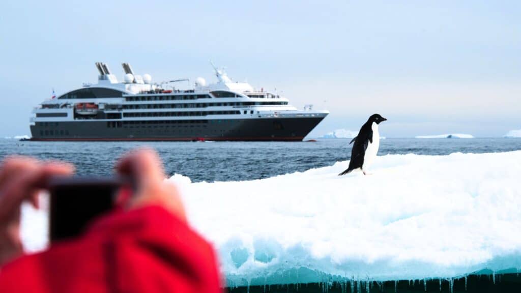 A person in a red jacket takes a photo of a penguin standing on ice, with a large cruise ship in the background on the ocean—a perfect moment from one of the many expedition cruise photography tours.