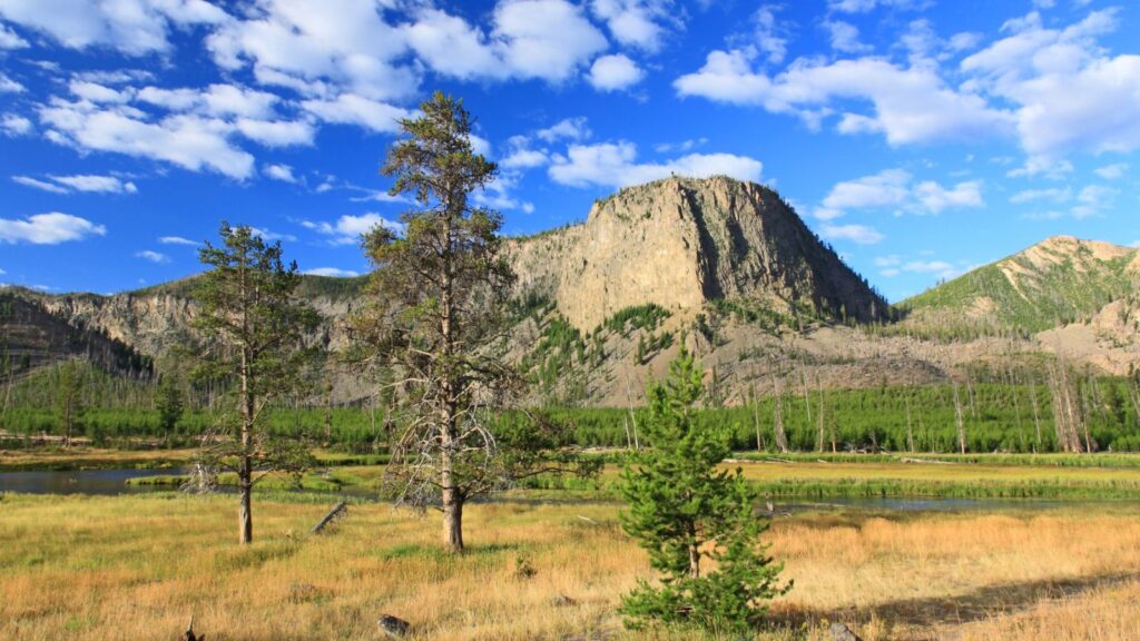 Grassland with scattered trees in the foreground, a river, and a rocky mountain rise under a blue sky with white clouds in the background.