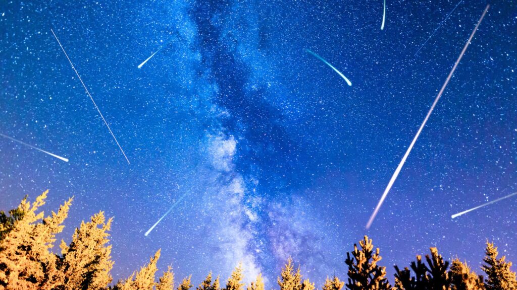 Night sky with the Milky Way visible, multiple bright meteors streaking across, and a forest of pine trees silhouetted along the bottom of the image.