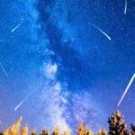 Night sky with the Milky Way visible, multiple bright meteors streaking across, and a forest of pine trees silhouetted along the bottom of the image.