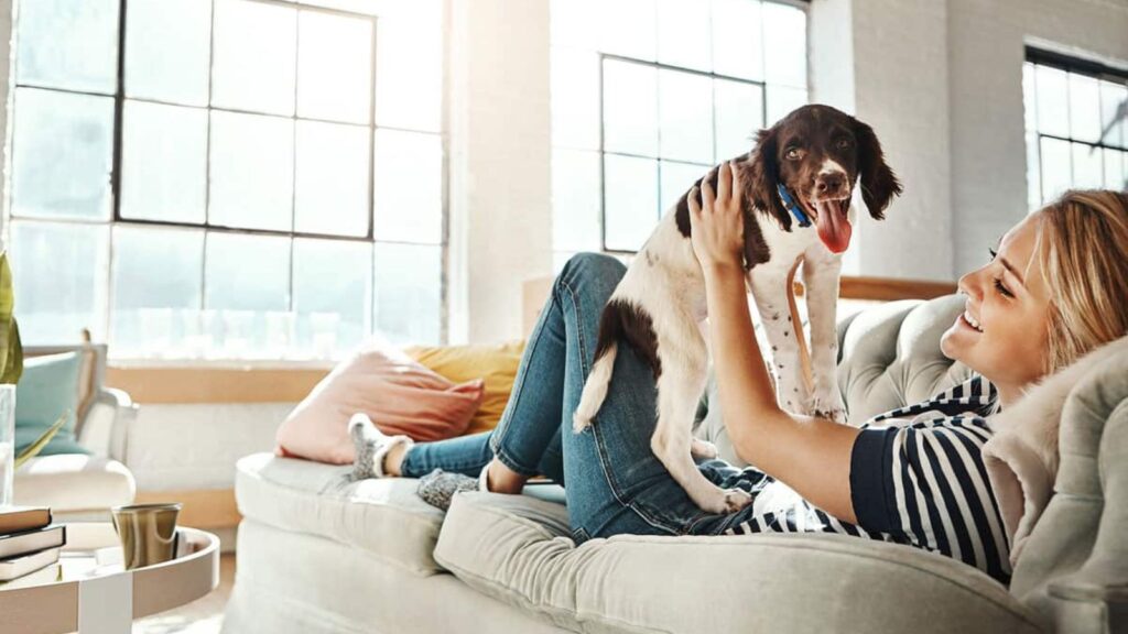 A woman lies on a couch in a bright living room, smiling while holding a small dog with brown and white fur.