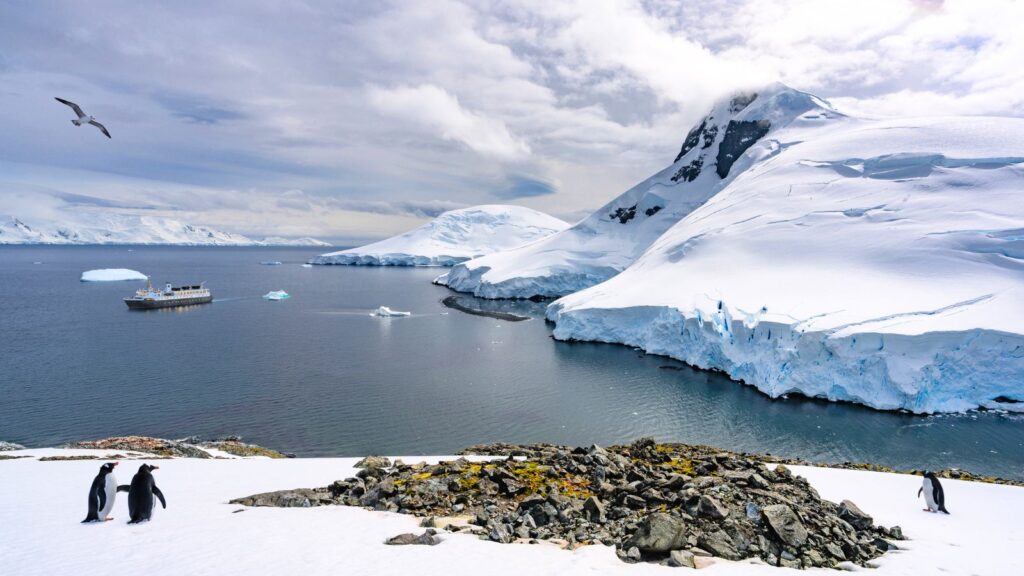 Three penguins stand on snowy ground by icy water in Antarctica, with an Antarctica ship, icebergs, a flying bird, and snowy mountains in the background under a cloudy sky.