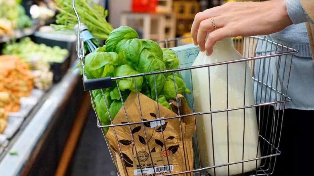 A hand holds a shopping basket with a bottle of milk&mdash;highlighting that raw milk is legal to buy&mdash;a bunch of fresh basil, and a paper bag of groceries in a store&rsquo;s produce section.