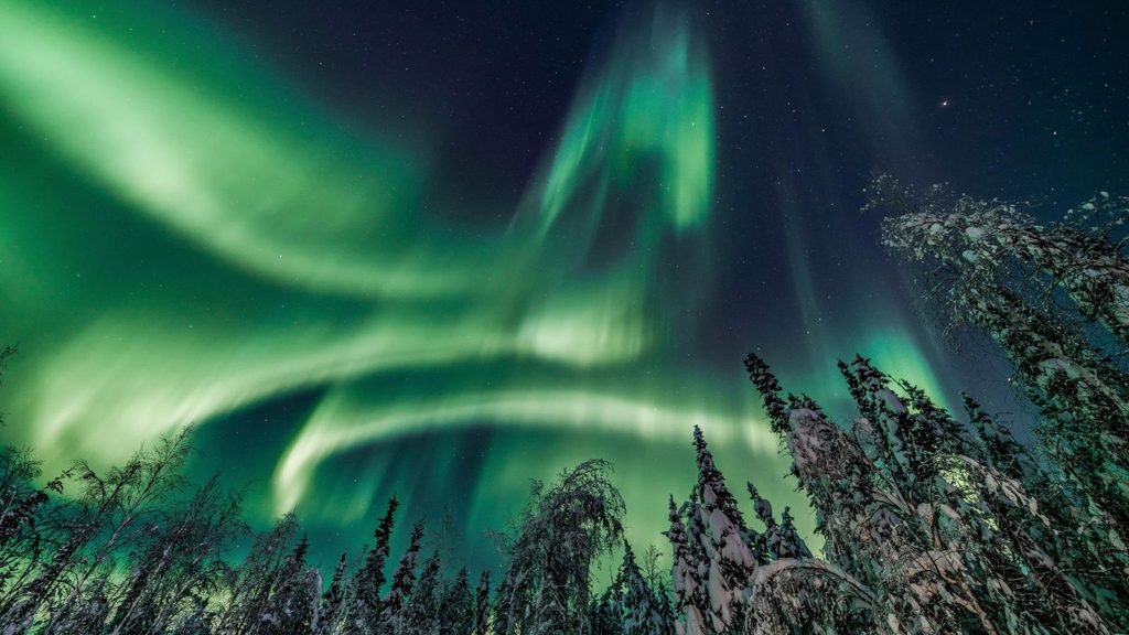 Green northern lights streak across a starry night sky above snow-covered trees in a winter forest.