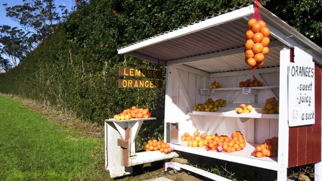 Roadside fruit stand with shelves displaying bags of oranges and lemons, handwritten signs, and a grassy path alongside a hedge.