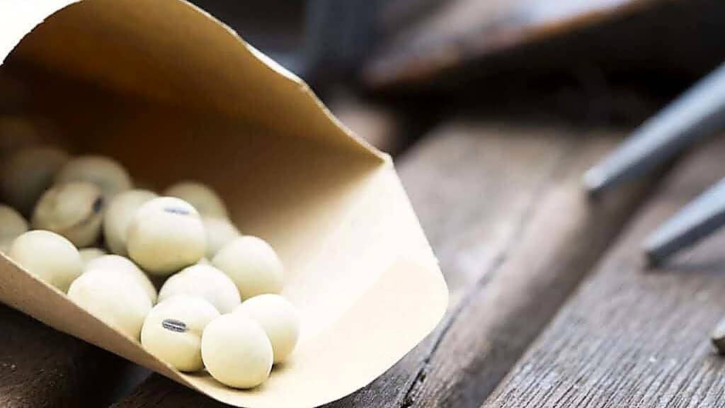 A brown paper envelope of heirloom seeds has tipped over, spilling several white beans with dark markings onto a wooden surface.