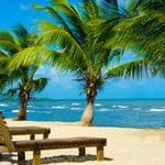 Wooden lounge chairs and palm trees on a sandy beach with blue ocean waves and a partly cloudy sky in the background.