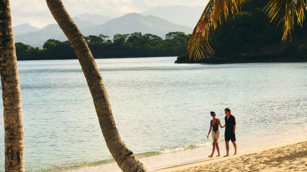 Two people walk along a sandy beach near calm water, with palm trees in the foreground and mountains in the background.