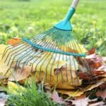 Person in boots raking a pile of colorful autumn leaves on green grass with a green rake.