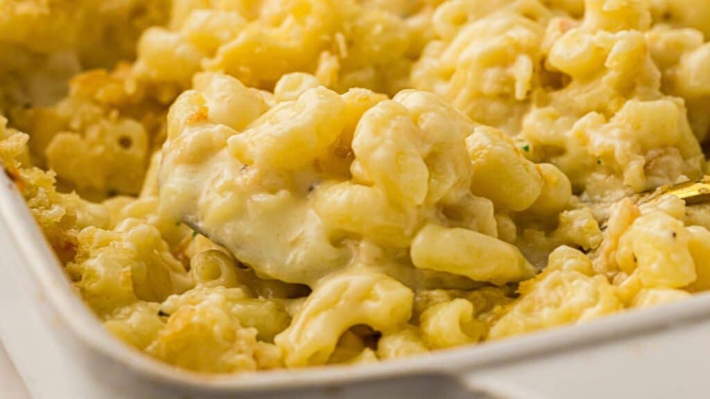 Close-up of creamy baked macaroni and cheese in a white dish, showing elbow macaroni noodles coated in melted cheese sauce.