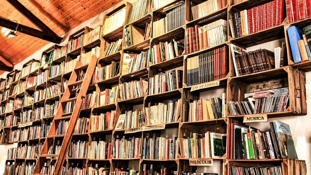 Wooden bookshelves filled with assorted books, sorted by labeled genres such as &ldquo;Literatura,&rdquo; &ldquo;M&uacute;sica,&rdquo; and &ldquo;Policiais,&rdquo; with a ladder leaning against the shelves.