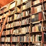 Wooden bookshelves filled with books are arranged along a wall, with a wooden ladder leaning against them. In this cozy New Jersey bookstore, genres like “Literature,” “Music,” and “Police” are labeled on the shelves.