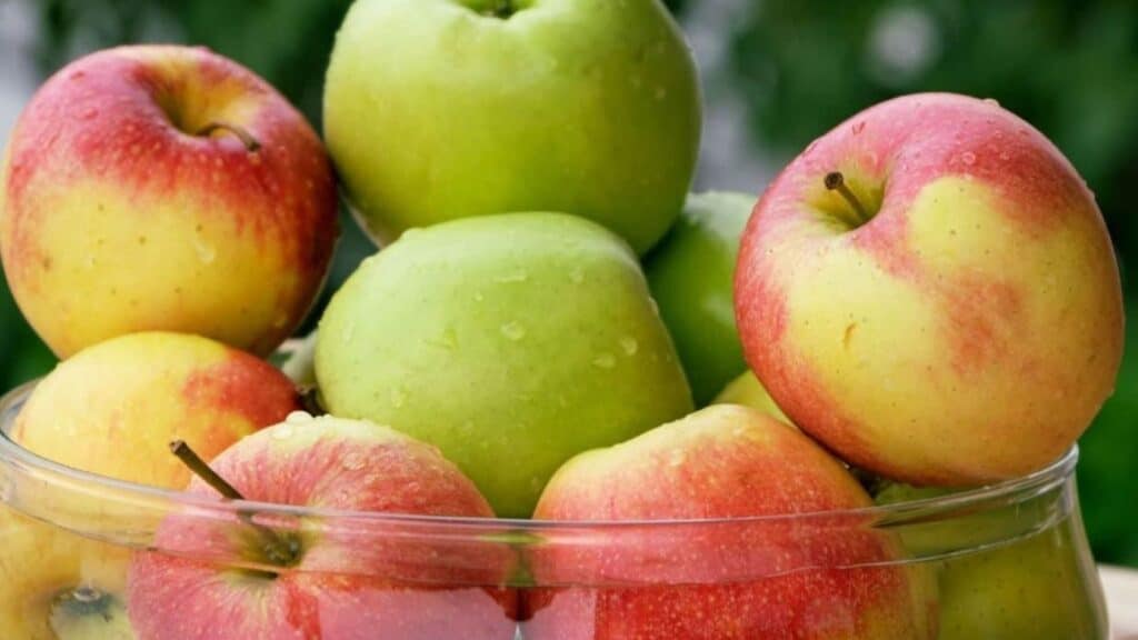 A glass bowl filled with red and green apples, some with water droplets, sits against a blurred green background&mdash;an inviting choice for late-night study snacks.