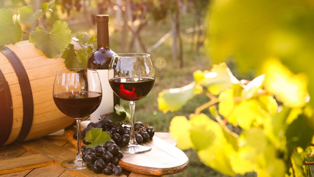 Two glasses of red wine, a wine bottle, a barrel, and grapes are arranged on a wooden table outdoors with green vineyard leaves in the background, perfectly capturing the best time to visit wine country.