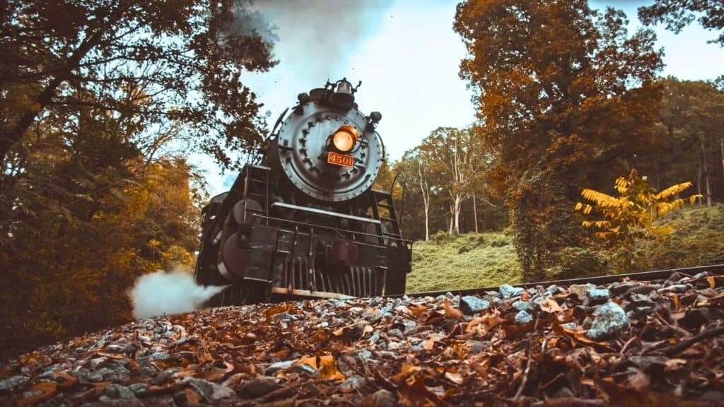 A vintage steam locomotive approaches on tracks blanketed in fall foliage.