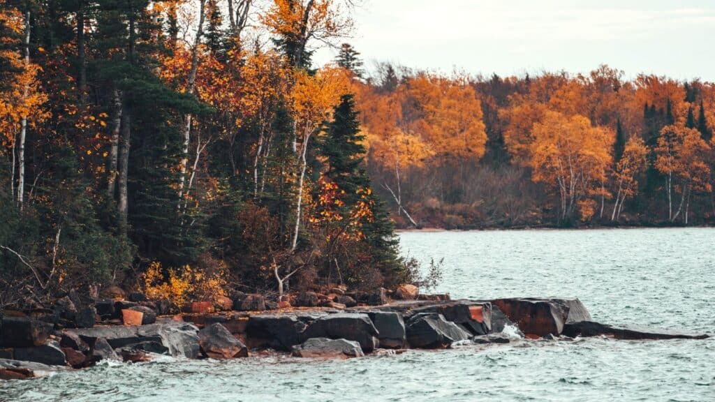 Rocky shoreline and forest with autumn foliage along a lake, a classic scene for fall foliage road trips.