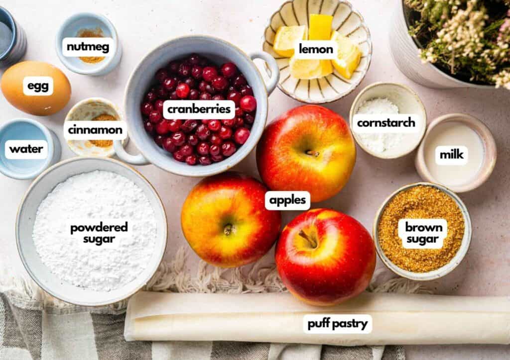 Ingredients for a recipe arranged on a table, labeled: egg, nutmeg, cinnamon, water, cranberries, powdered sugar, lemon, apples, cornstarch, milk, brown sugar, and a roll of puff pastry.