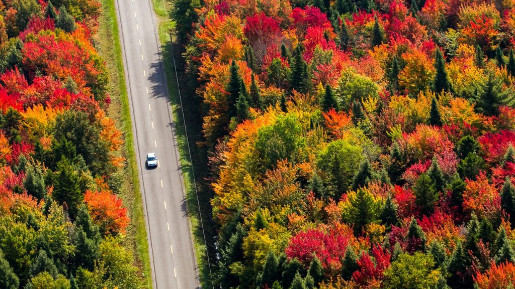 An aerial view of a single car driving on a road cutting through a forest with autumn foliage in shades of red, orange, and yellow.