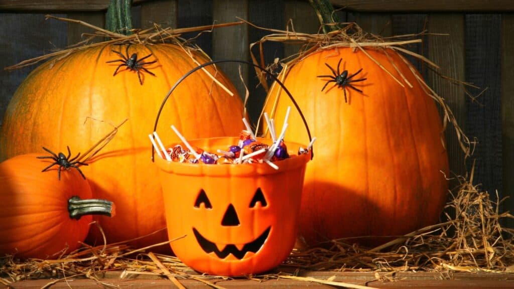 An orange jack-o&rsquo;-lantern trick-or-treat bucket filled with lollipops sits in front of two large pumpkins decorated with plastic spiders on straw.