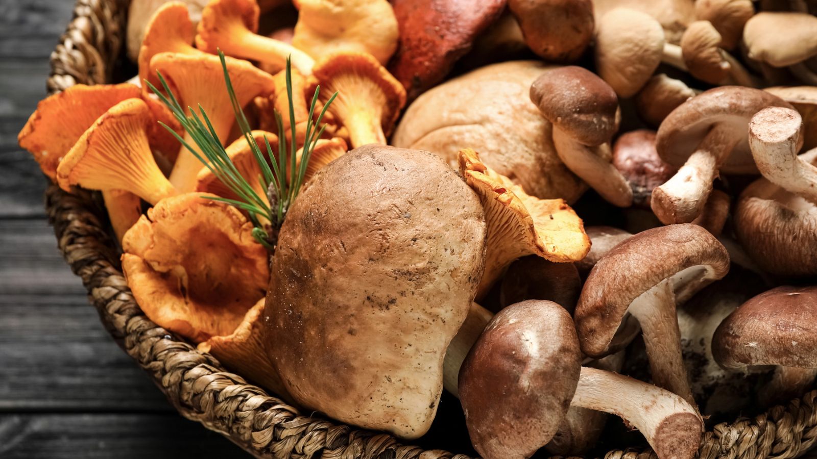A woven basket filled with a variety of wild mushrooms, perfect for National Mushroom Day, and a sprig of pine needles.