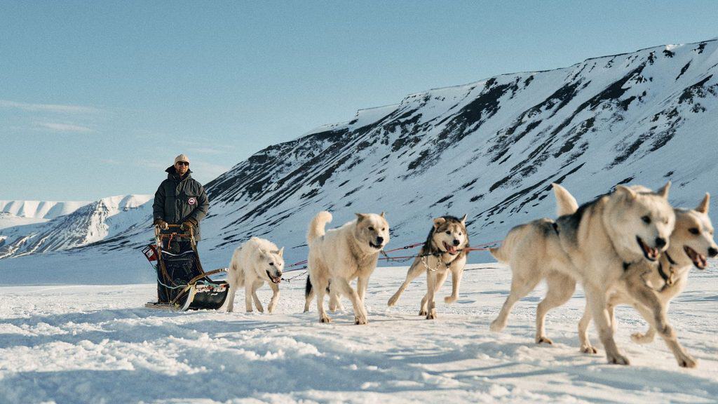 A person stands on a dog sled pulled by a team of huskies across a snow-covered landscape during a Svalbard trip.