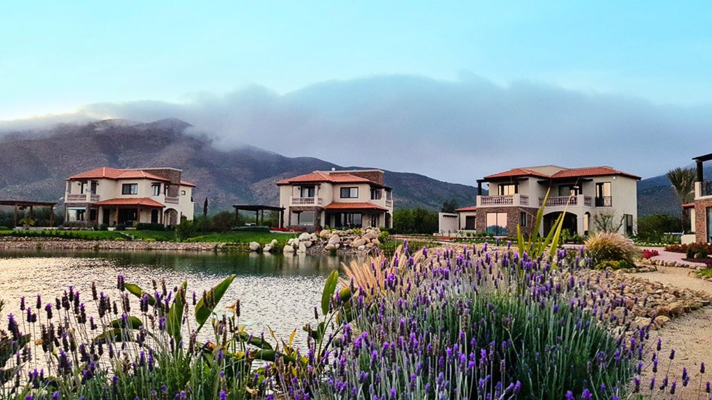 Three villas overlooking a pond with purple lavender flowers in the foreground and a mountain in the background.