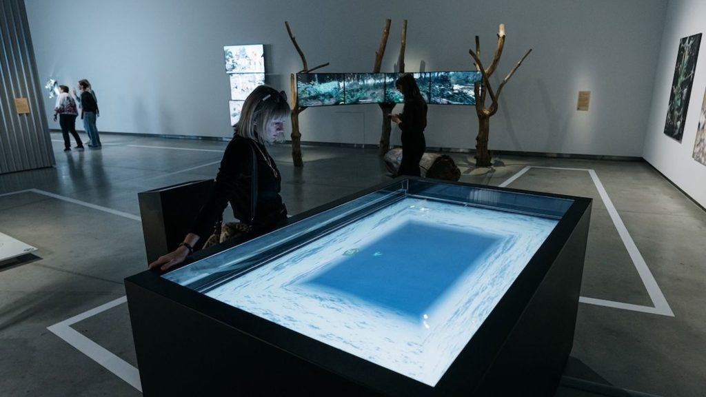 A person looks into a large, rectangular interactive display table in a gallery, with video screens and tree-like sculptures in the background.
