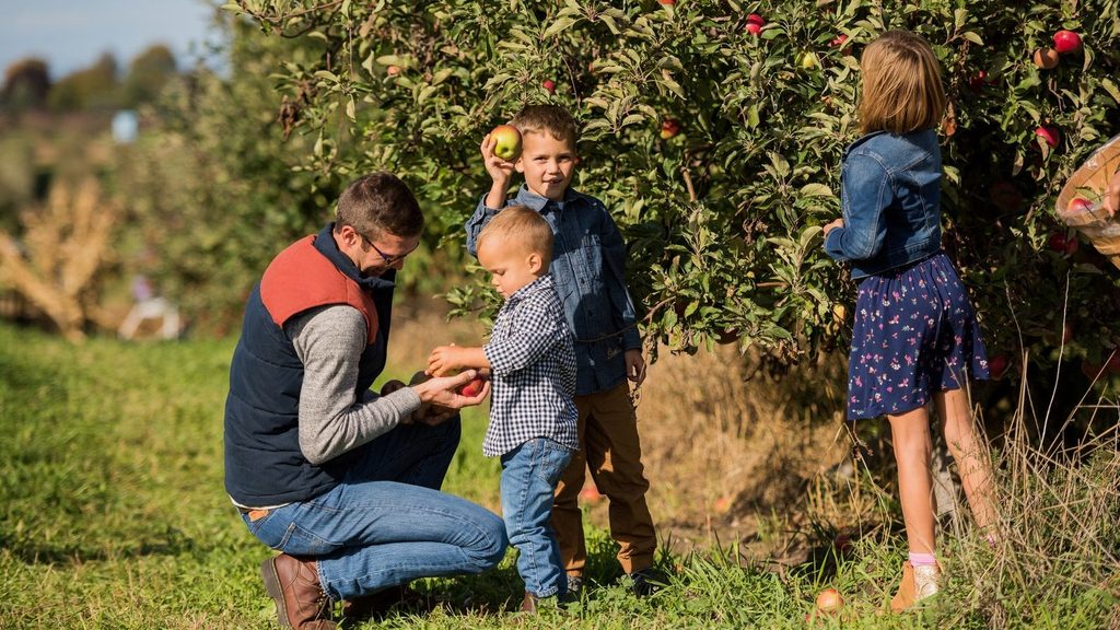 A man and two children picking apples in an orchard.