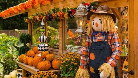 Section Farmland Pattern Farm stands beat festivals and hayrides as fall’s most common road trip ...