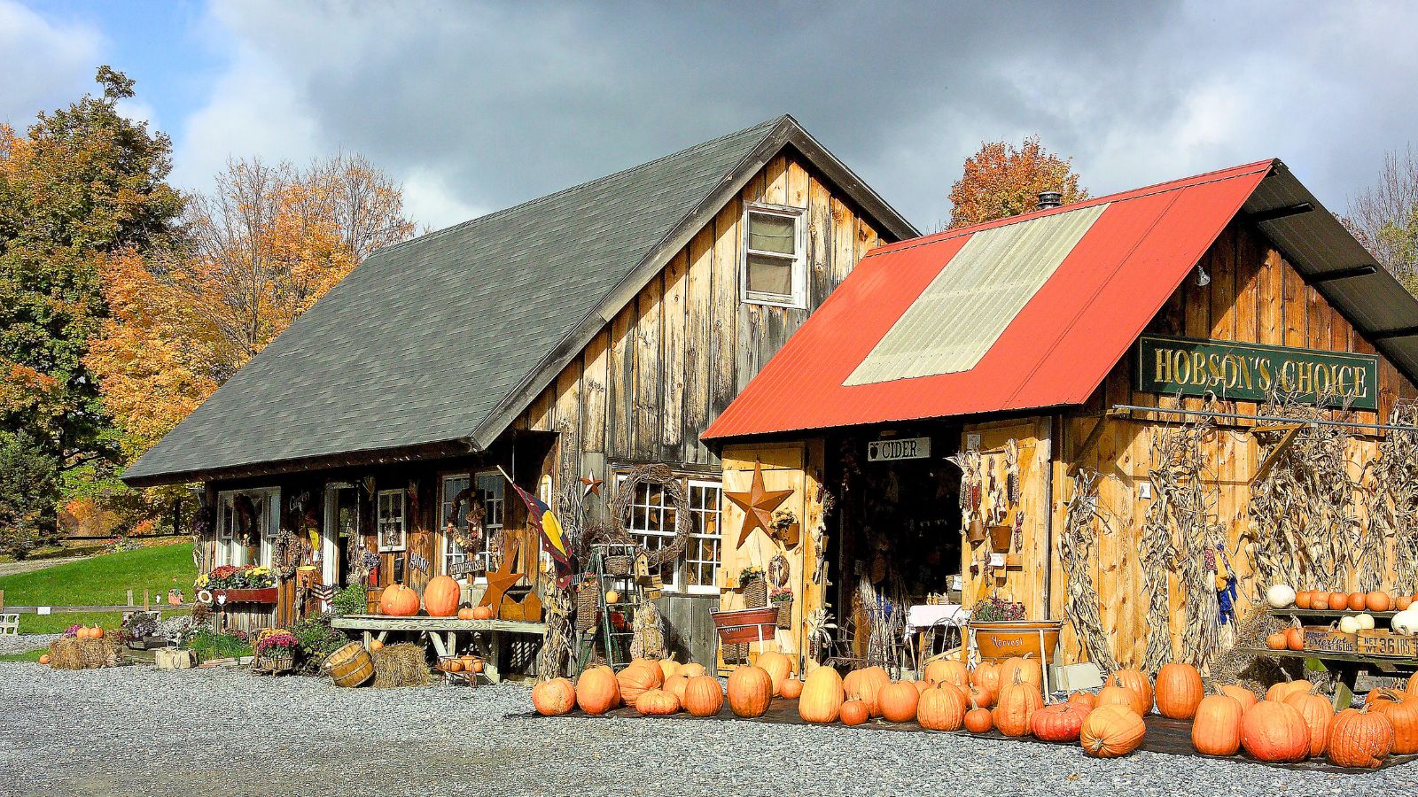 Rustic wooden fall farm stand labeled &ldquo;Hobson&rsquo;s Choice&rdquo; with a red roof, decorated with seasonal items and surrounded by pumpkins.