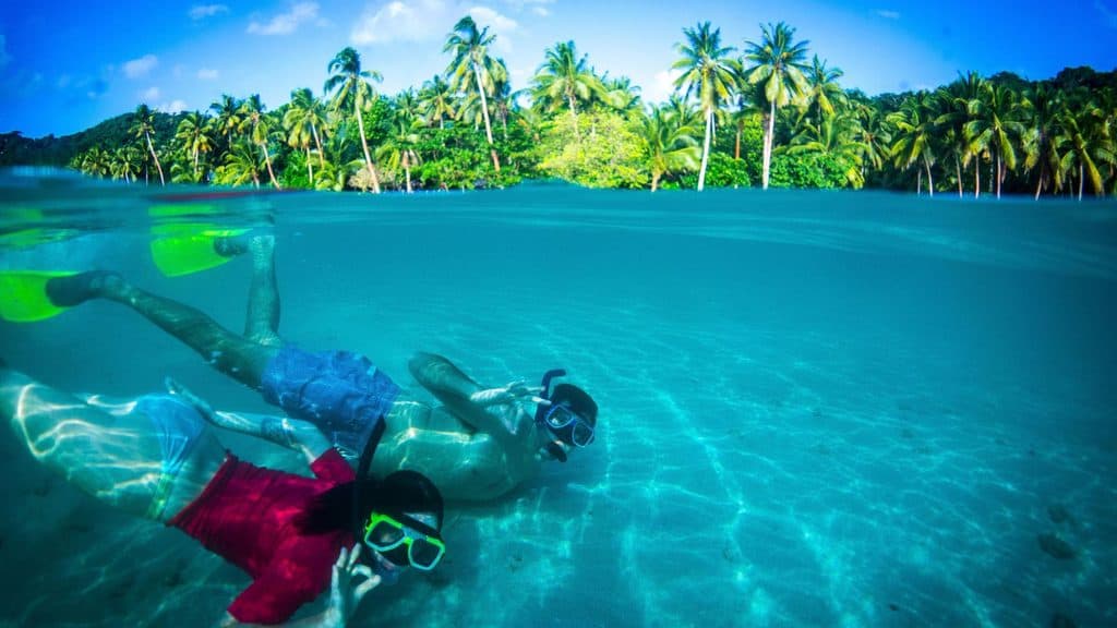 Two people snorkeling in clear tropical water, making peace signs for the camera with a palm tree-lined beach in the background.