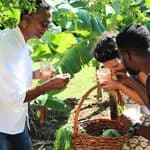 A chef in a white coat shows two people how to taste ingredients held in a wicker basket during a Grenada food travel experience in a garden.