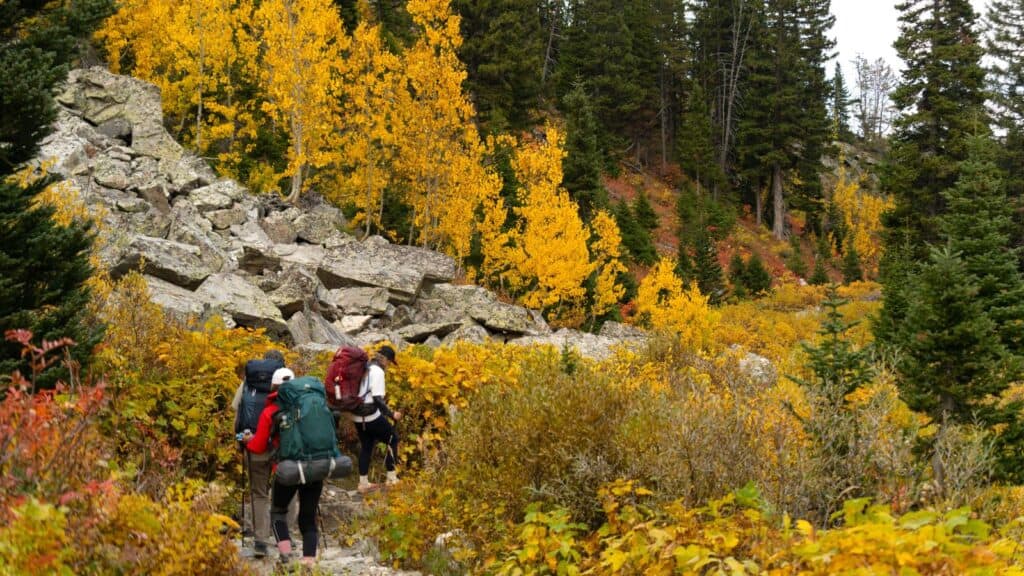 Three hikers with backpacks walk along a mountain trail through quiet national parks in fall, surrounded by autumn trees and a rocky slope.