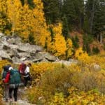 Three hikers with backpacks walk along a mountain trail through quiet national parks in fall, surrounded by autumn trees and a rocky slope.
