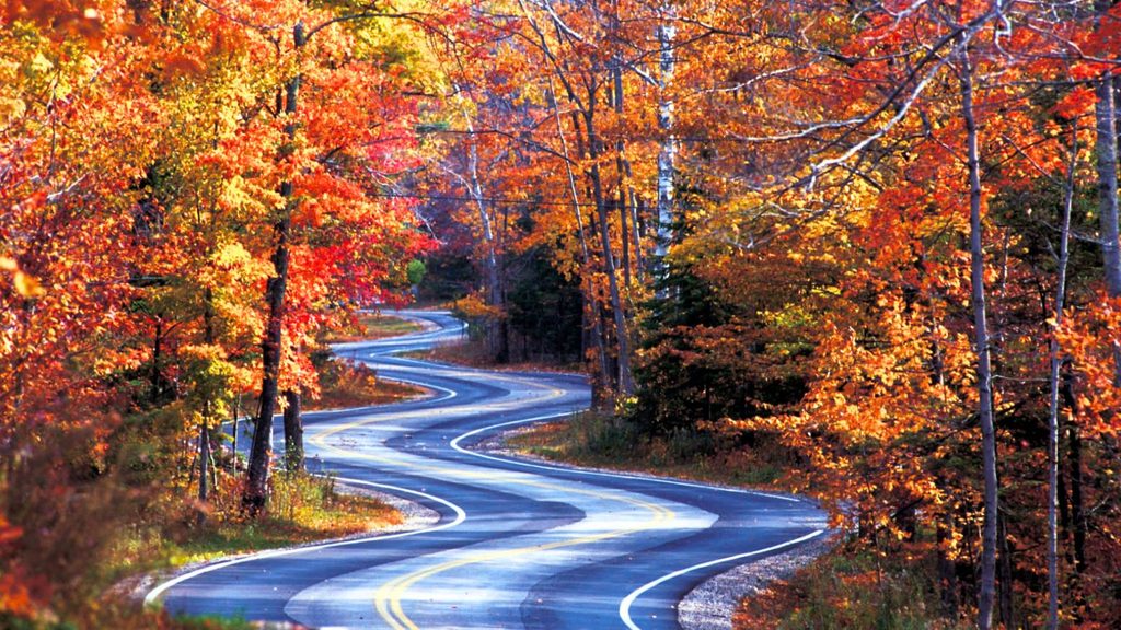 A winding road through a forest with vibrant orange and red autumn foliage near Great Lakes harbor towns.