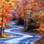 A winding road through a forest with vibrant orange and red autumn foliage near Great Lakes harbor towns.