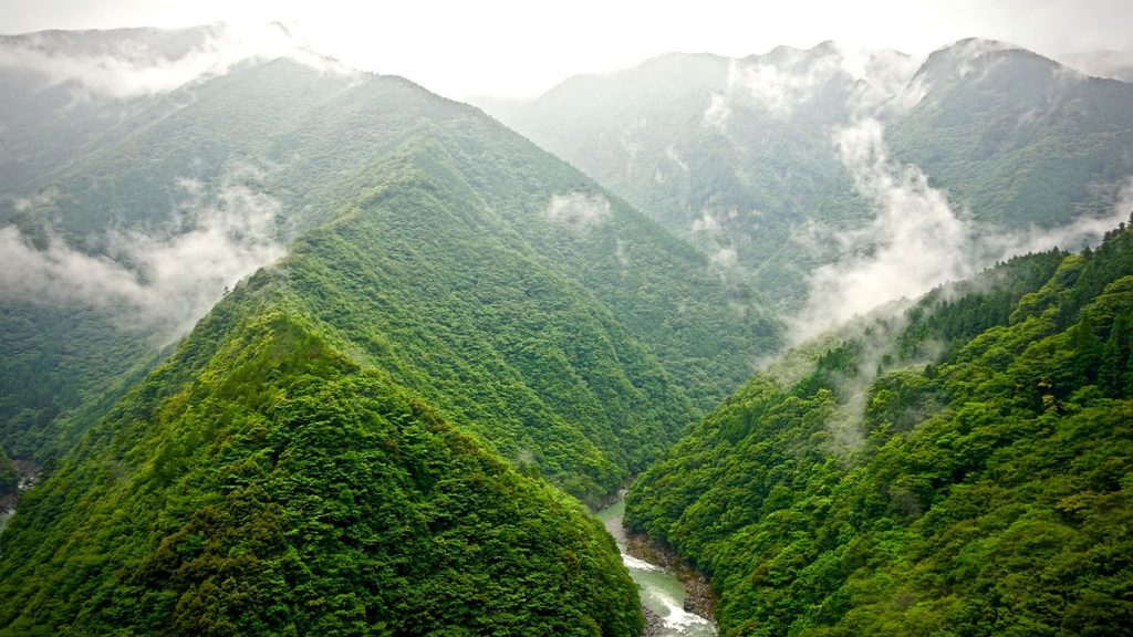 A river flows through a deep, mist-covered mountain valley forested with green trees.