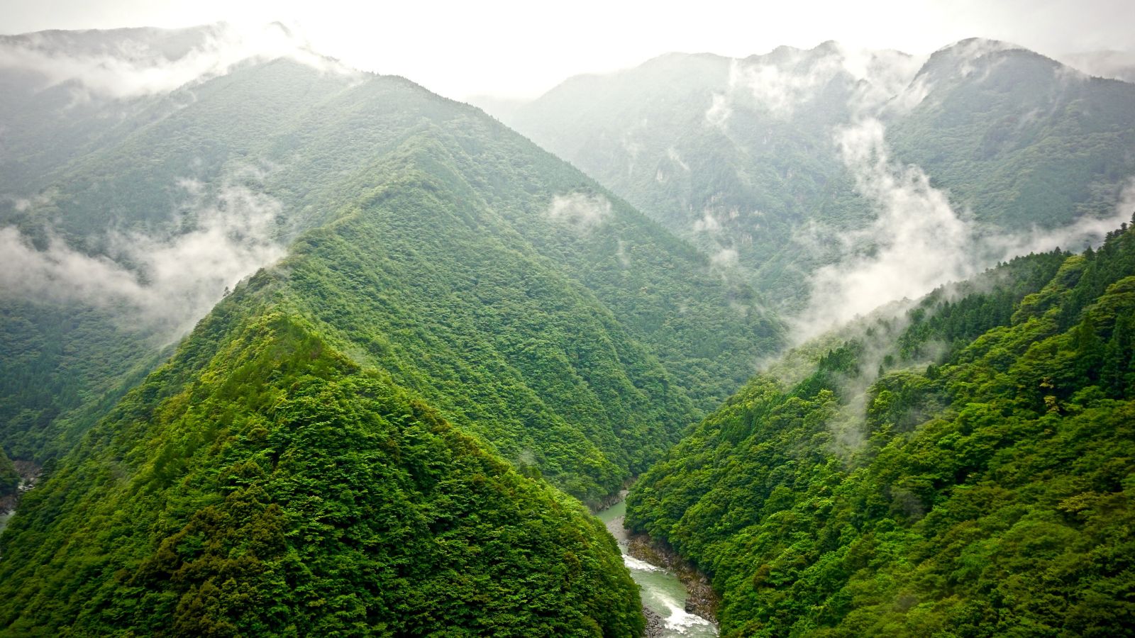 A river flows through a deep, mist-covered mountain valley forested with green trees.