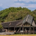 A large open-air lodge with a thatched roof, set among trees and surrounded by the tall grass of Liuwa Plain National Park.