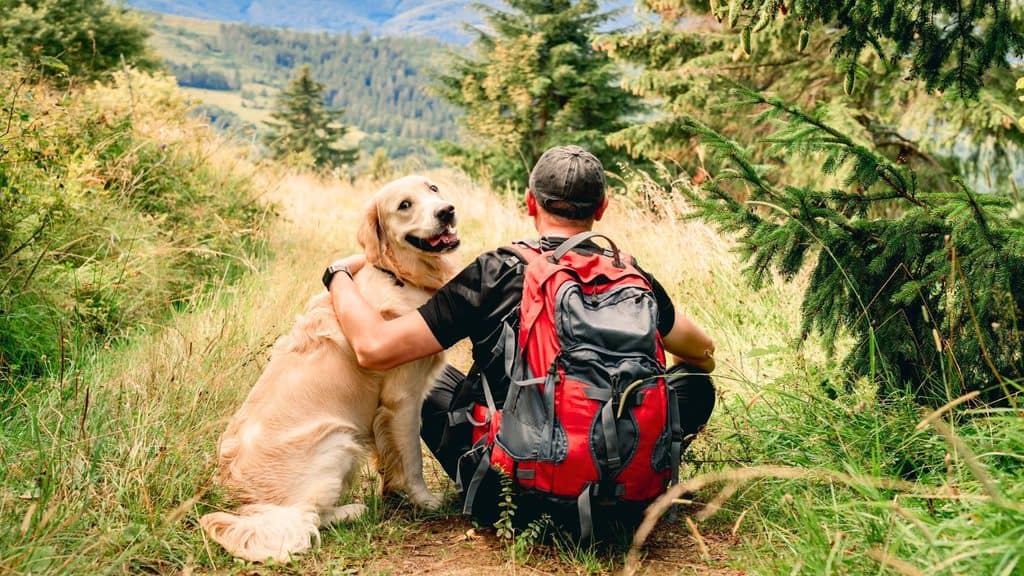 A hiker with a red backpack sits on a grassy hill with their arm around a golden retriever looking back at them.